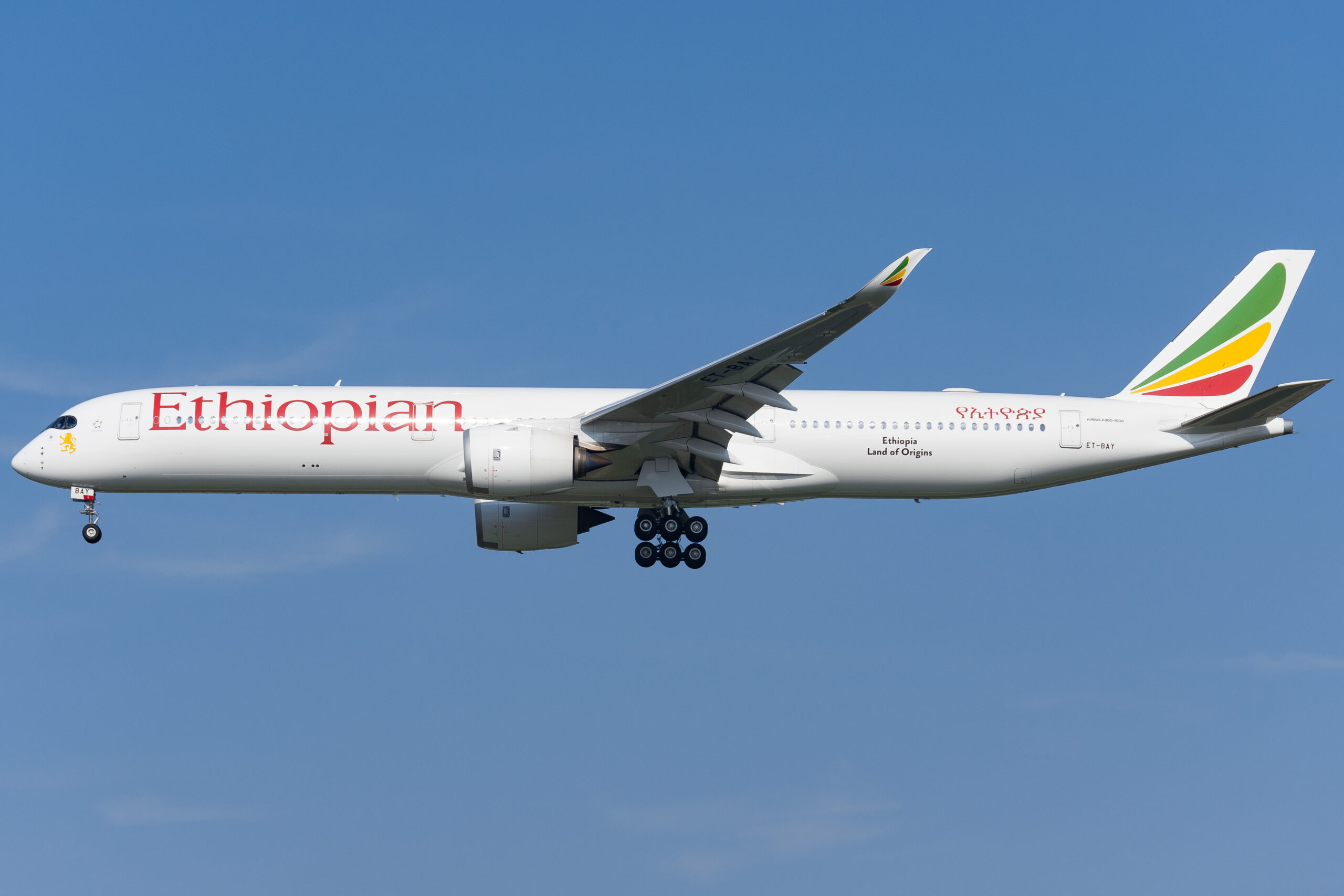 أكبر 10 شركات طيران في أفريقيا