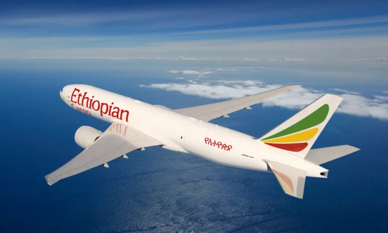 أكبر 10 شركات طيران في أفريقيا