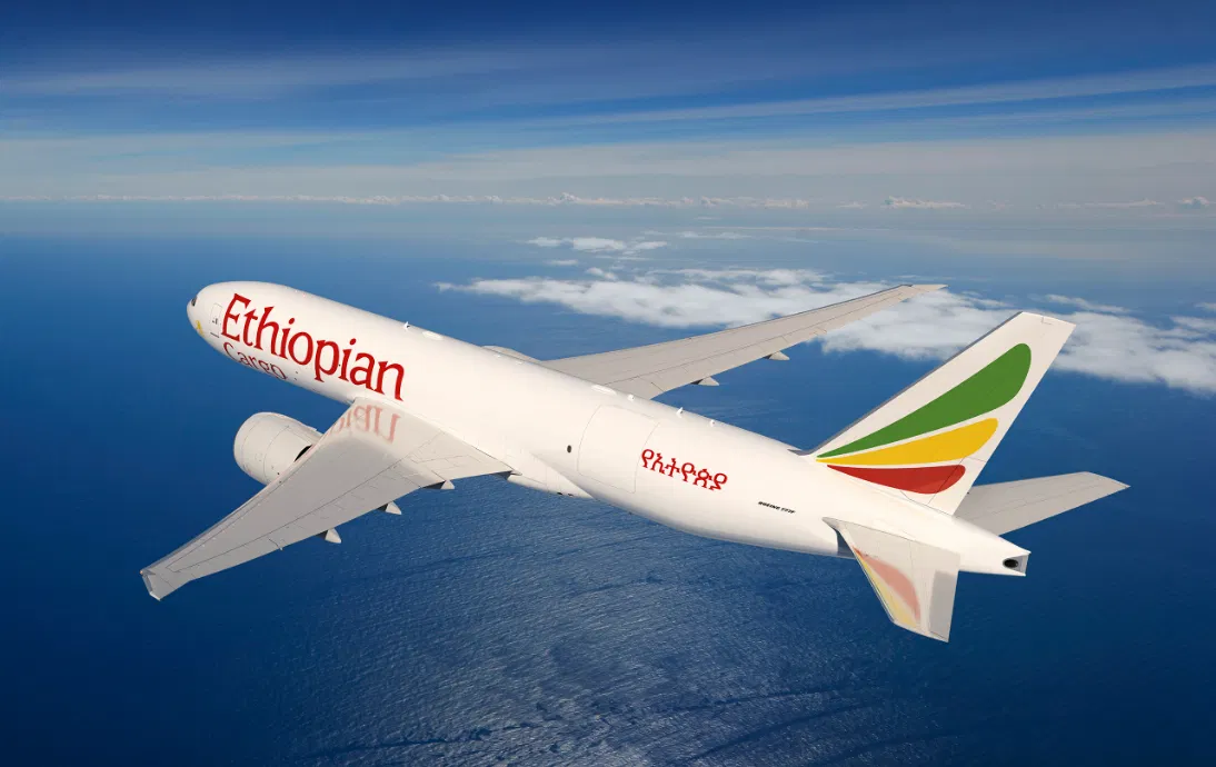 أكبر 10 شركات طيران في أفريقيا