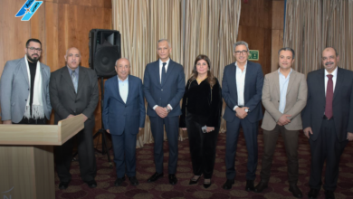 جمعية مهندسي الطائرات المصرية