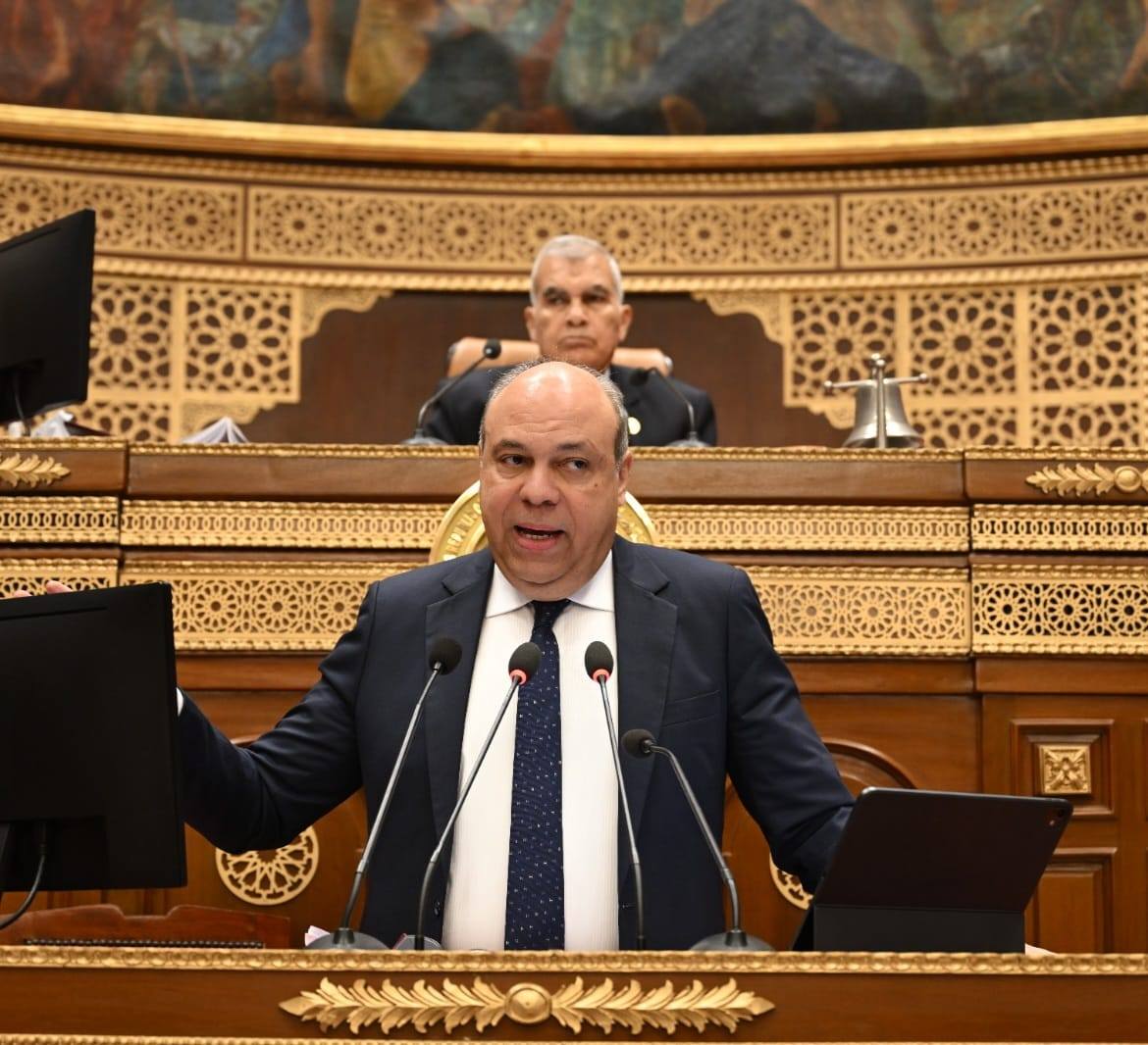 وزير الطيران المصري في مجلس الشيوخ