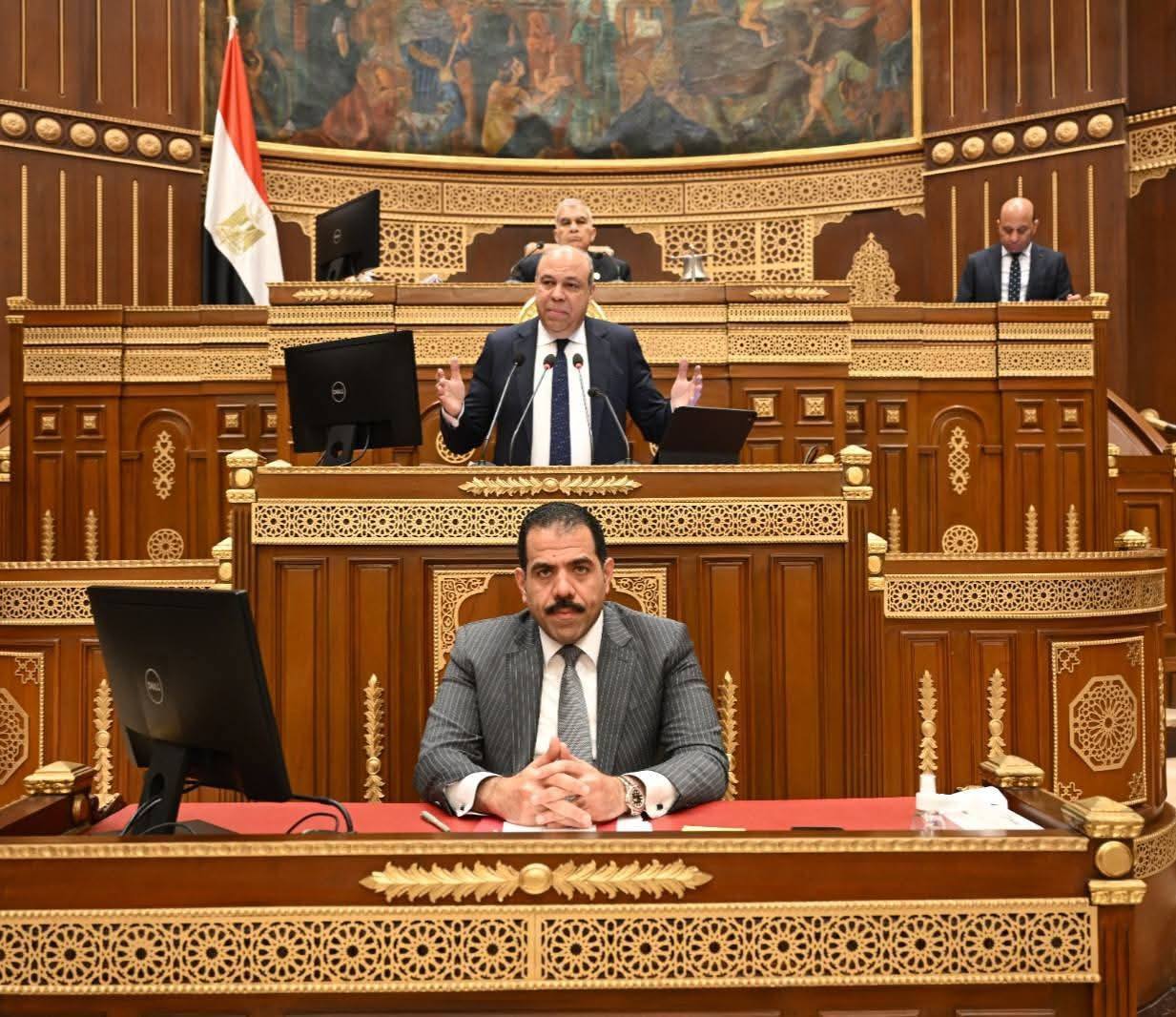 وزير الطيران المصري في مجلس الشيوخ