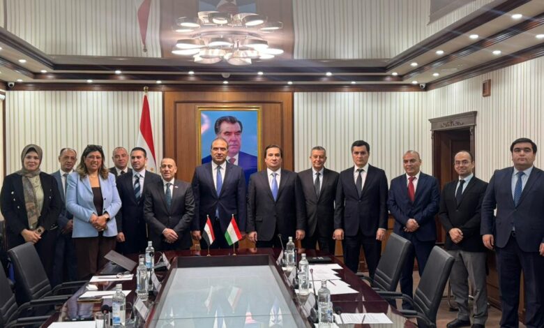 وفد إيركايرو