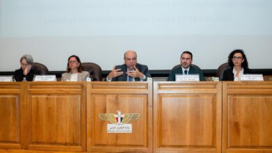 وزارة الطيران المصرية